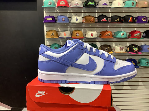 Nike Dunk Low Polar Blue (Allen)