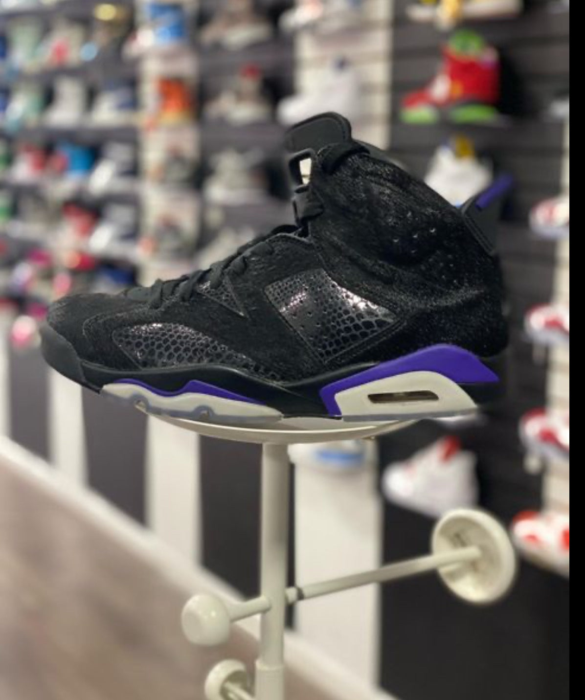 Jordan 6 Social Status