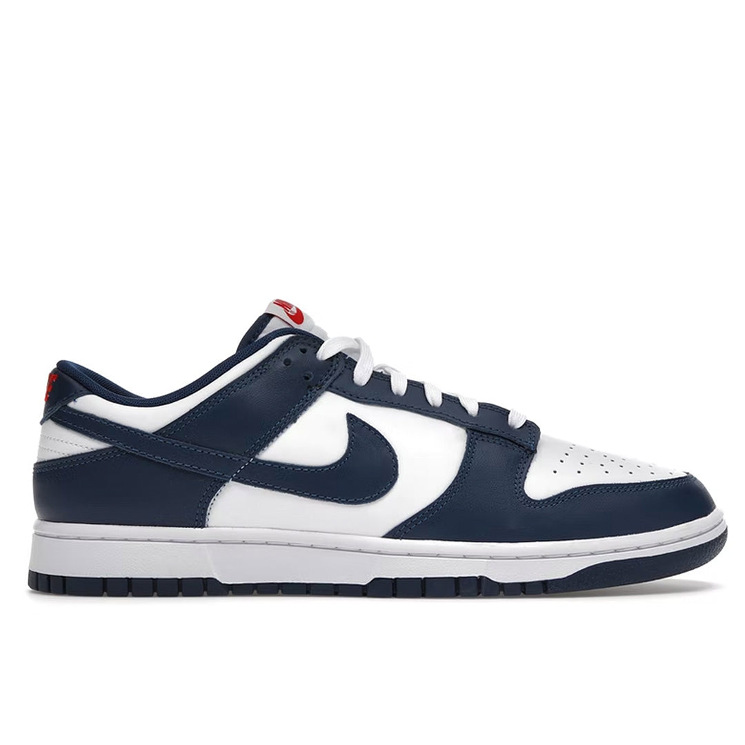 Nike Dunk Low Valerian Blue