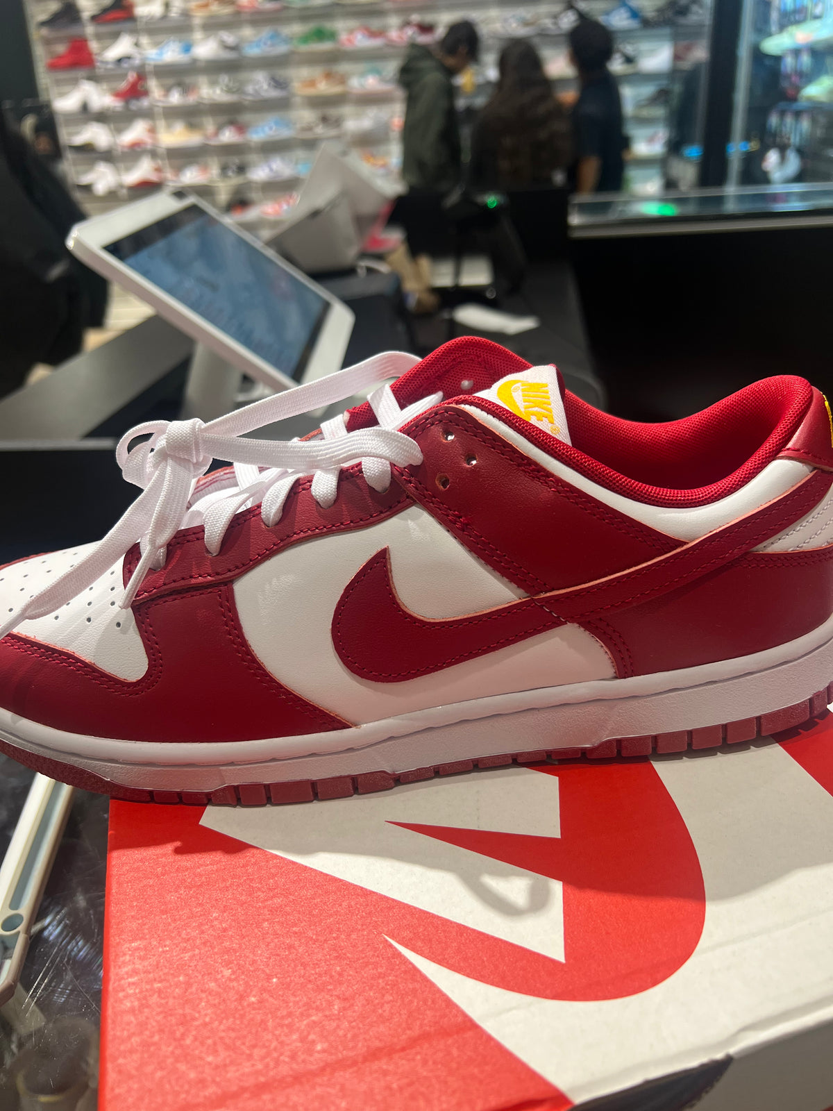 Nike Dunk Low USC